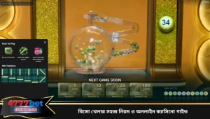 বিঙ্গো খেলার সহজ নিয়ম ও অনলাইন ক্যাসিনো গাইড