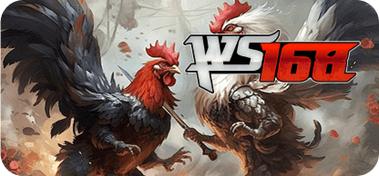 Cockfight